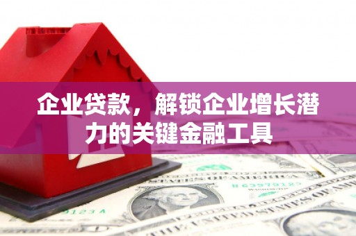 大武企业贷款，解锁企业增长潜力的关键金融工具