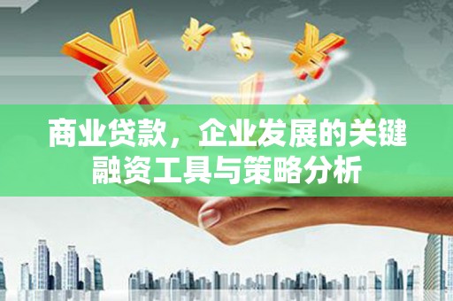 大武商业贷款，企业发展的关键融资工具与策略分析