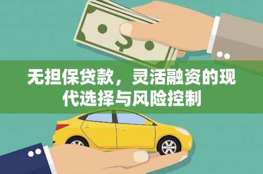 大武无担保贷款，灵活融资的现代选择与风险控制