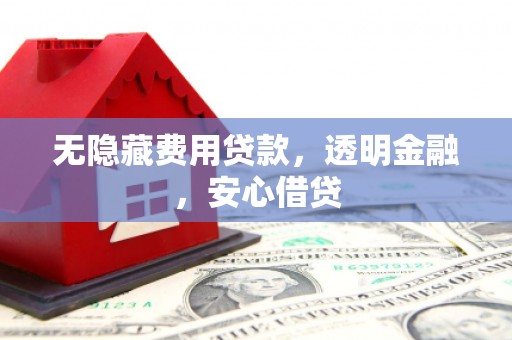 大武无隐藏费用贷款，透明金融，安心借贷