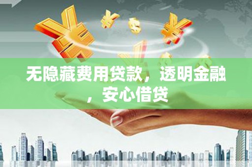 大武无隐藏费用贷款，透明金融，安心借贷