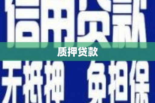 大武质押贷款