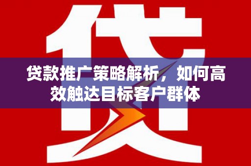 大武贷款推广策略解析，如何高效触达目标客户群体