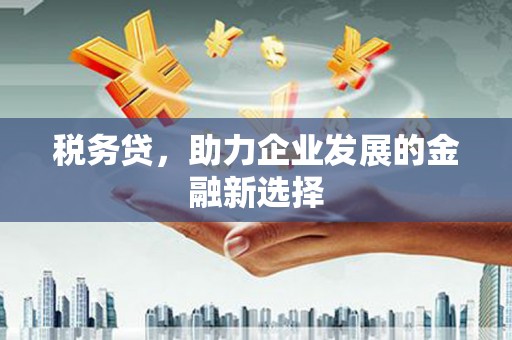 大武税务贷，助力企业发展的金融新选择