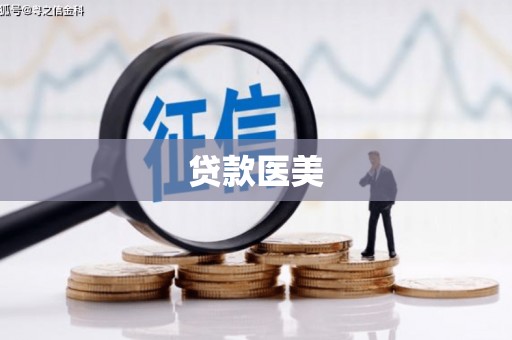 大武贷款医美