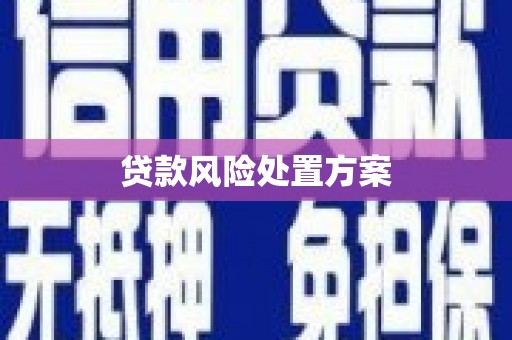大武贷款风险处置方案