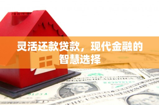 大武灵活还款贷款，现代金融的智慧选择