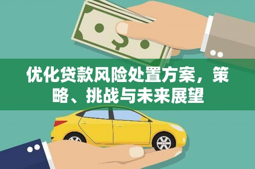 大武优化贷款风险处置方案，策略、挑战与未来展望