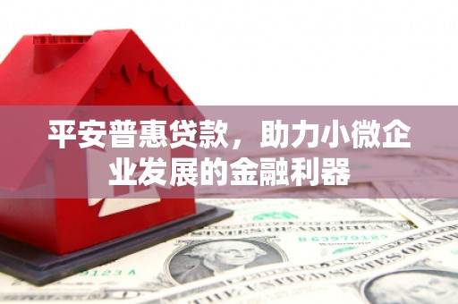 大武平安普惠贷款，助力小微企业发展的金融利器
