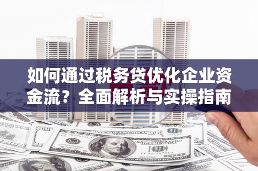 大武如何通过税务贷优化企业资金流？全面解析与实操指南