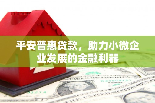 大武平安普惠贷款，助力小微企业发展的金融利器
