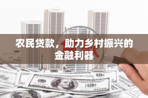 大武农民贷款，助力乡村振兴的金融利器