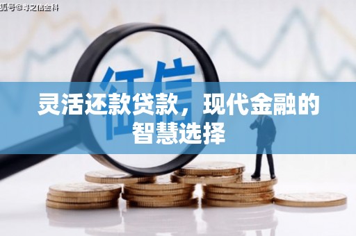 大武灵活还款贷款，现代金融的智慧选择
