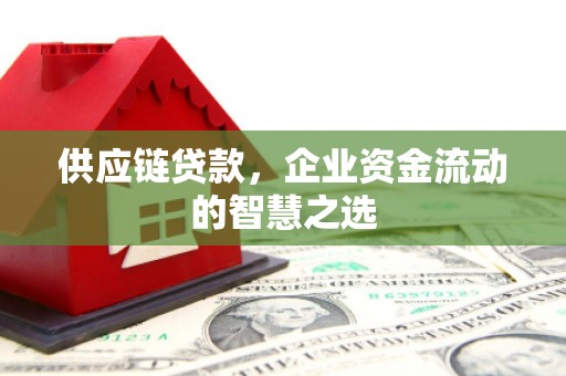 大武供应链贷款，企业资金流动的智慧之选