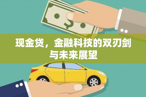 大武现金贷，金融科技的双刃剑与未来展望