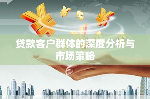大武贷款客户群体的深度分析与市场策略