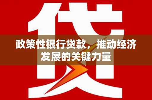 大武政策性银行贷款，推动经济发展的关键力量
