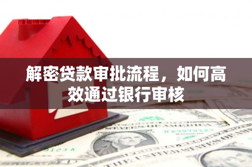 大武解密贷款审批流程，如何高效通过银行审核