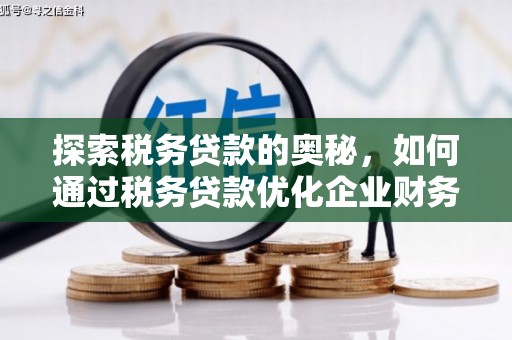 大武探索税务贷款的奥秘，如何通过税务贷款优化企业财务