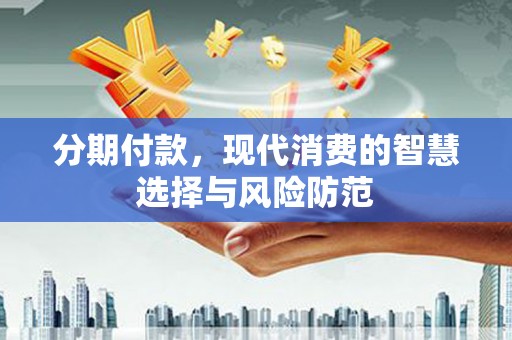 大武分期付款，现代消费的智慧选择与风险防范