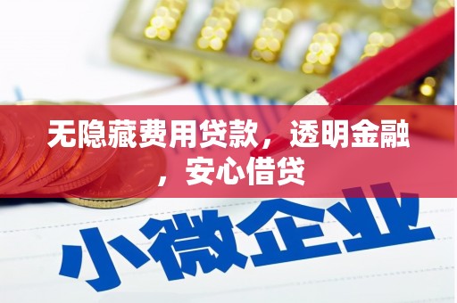 大武无隐藏费用贷款，透明金融，安心借贷