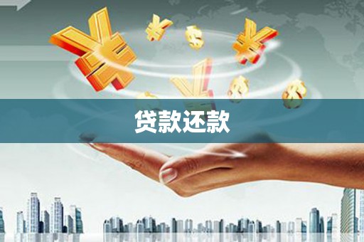 大武贷款还款
