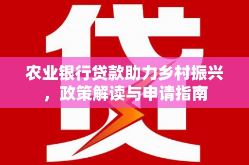 大武农业银行贷款助力乡村振兴，政策解读与申请指南