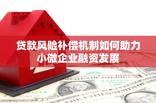 大武贷款风险补偿机制如何助力小微企业融资发展