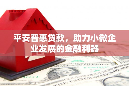 大武平安普惠贷款，助力小微企业发展的金融利器