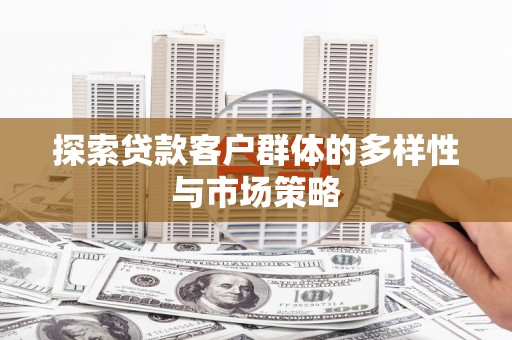 大武探索贷款客户群体的多样性与市场策略