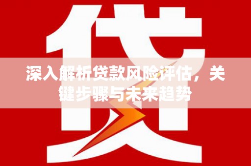 大武深入解析贷款风险评估，关键步骤与未来趋势