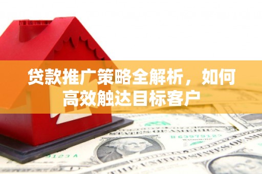 大武贷款推广策略全解析，如何高效触达目标客户