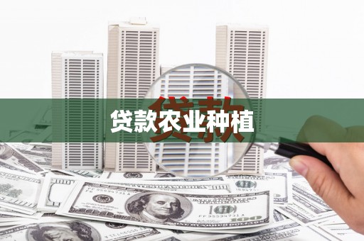 大武贷款农业种植