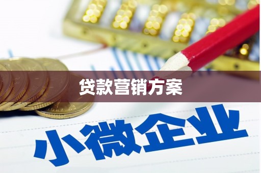 大武贷款营销方案
