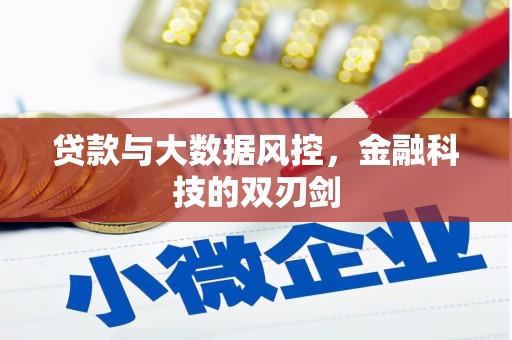 大武贷款与大数据风控，金融科技的双刃剑