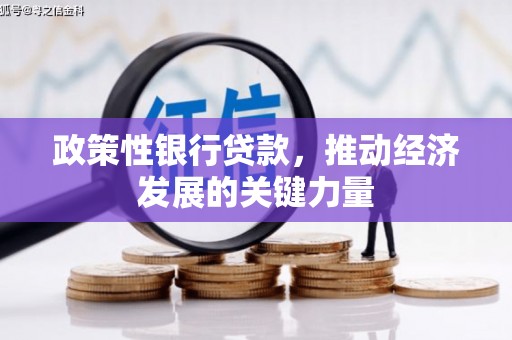 大武政策性银行贷款，推动经济发展的关键力量