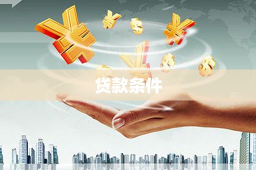 大武贷款条件