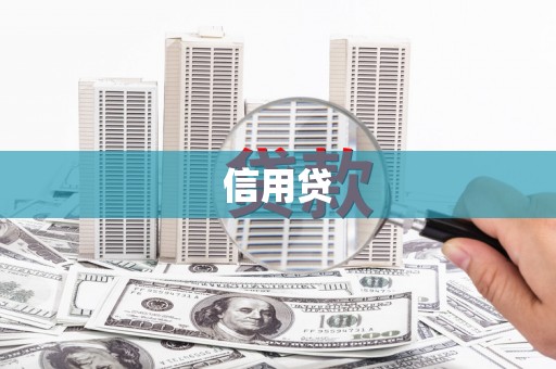 大武信用贷
