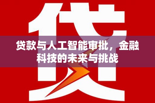 大武贷款与人工智能审批，金融科技的未来与挑战