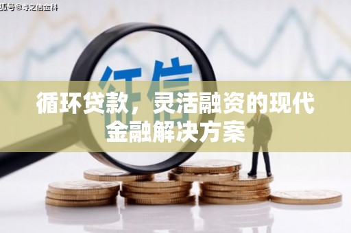 大武循环贷款，灵活融资的现代金融解决方案