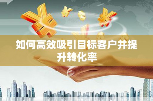 大武如何高效吸引目标客户并提升转化率
