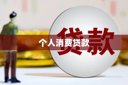 大武个人消费贷款