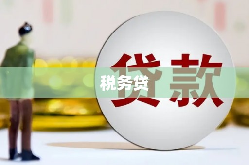大武税务贷