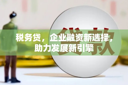 大武税务贷，企业融资新选择，助力发展新引擎