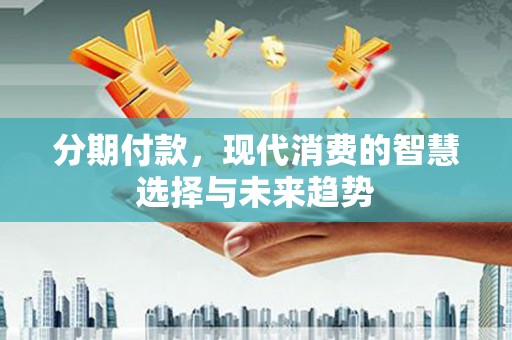 大武分期付款，现代消费的智慧选择与未来趋势