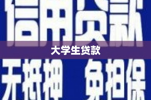 大武大学生贷款