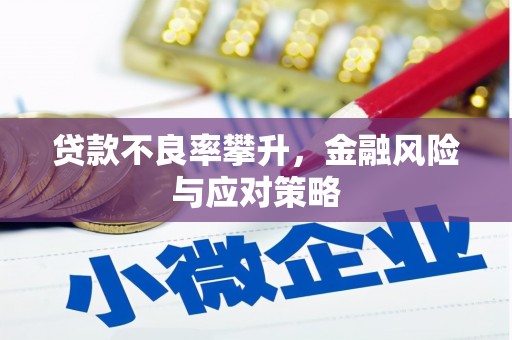 大武贷款不良率攀升，金融风险与应对策略