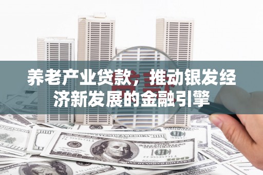 大武养老产业贷款，推动银发经济新发展的金融引擎
