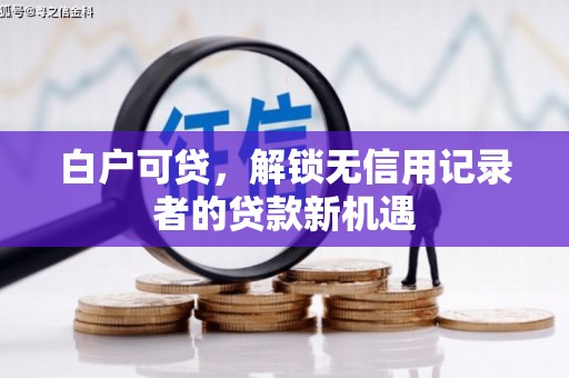 大武白户可贷，解锁无信用记录者的贷款新机遇