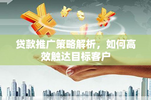 大武贷款推广策略解析，如何高效触达目标客户